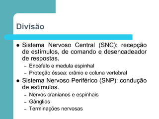 Divisão
 Sistema Nervoso Central (SNC): recepção
de estímulos, de comando e desencadeador
de respostas.
– Encéfalo e medula espinhal
– Proteção óssea: crânio e coluna vertebral
 Sistema Nervoso Periférico (SNP): condução
de estímulos.
– Nervos cranianos e espinhais
– Gânglios
– Terminações nervosas
 