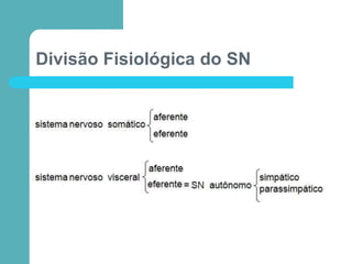 Divisão Fisiológica do SN
 