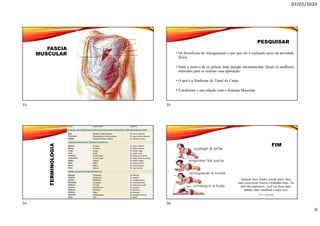 07/05/2020
9
FASCIA
MUSCULARTERMINOLOGIA
PESQUISAR
• Os Benefícios do Alongamento e por que ele é realizado antes da atividade
física.
• Qual o motivo de se aplicar uma injeção intramuscular. Quais os melhores
músculos para se realizar essa aplicação.
• O que é a Síndrome do Túnel do Carpo.
• Estrabismo e sua relação com o Sistema Muscular
FIM
Quando doer fundo, estude mais, faça
mais exercícios físicos e trabalhe mais. Na
pior das hipóteses, você vai ficar mais
sabido, mais saudável e mais rico.
Vitor Quintan
33
34
35
36
 