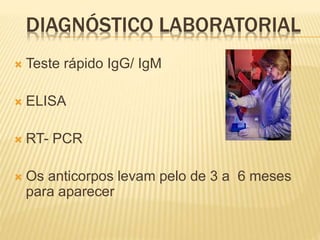 DIAGNÓSTICO LABORATORIAL
 Teste rápido IgG/ IgM
 ELISA
 RT- PCR
 Os anticorpos levam pelo de 3 a 6 meses
para aparecer
 