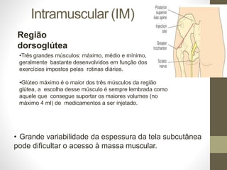 Intramuscular (IM)
Região
dorsoglútea
•Três grandes músculos: máximo, médio e mínimo,
geralmente bastante desenvolvidos em função dos
exercícios impostos pelas rotinas diárias.
•Glúteo máximo é o maior dos três músculos da região
glútea, a escolha desse músculo é sempre lembrada como
aquele que consegue suportar os maiores volumes (no
máximo 4 ml) de medicamentos a ser injetado.
• Grande variabilidade da espessura da tela subcutânea
pode dificultar o acesso à massa muscular.
 