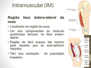 Intramuscular (IM)
Região face ântero-lateral da
coxa
• Localizado na região da coxa;
• Um dos componentes do músculo
quadríceps femoral, na face antero-
lateral.
• Região de fácil acesso até mesmo
para aqueles que se auto-aplicam
injeções;
• Têm boa aceitação da população
brasileira.
 