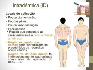 Intradérmica (ID)
Locais de aplicação
• Pouca pigmentação.
• Poucos pêlos.
• Pouca vascularização.
• Fácil acesso.
• Região que concentra as
características é a face ventral do
antebraço;
• Região escapular das
costas pode ser utilizada se
preenchidos os requisitos
acima citados.
• Região do deltóide direito foi
intemacionalmente padronizada
como área de aplicação do
BCG — ID.
 