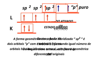 K
L
ESTADO ATIVADO
ou
EXCITADO
Ocorre a fusão de
dois orbitais “p” com o orbital “s”, formando igual número de
orbitais híbridos idênticos entre si, com forma geométrica
diferente das originais
ESTADO HÍBRIDO
sp 2sp 2 “p” purosp 2
A forma geométrica do carbono hibridizado “ sp “ é
TRIGONAL PLANA
e o ângulo entre as suas valências é de
120°
2
 