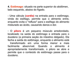 4. Estômago: situado na parte superior do abdômen,
lado esquerdo, abaixo do fígado.
- Uma válvula (cardia) na entrada para o estômago,
vinda do esôfago, permite que o alimento entre,
enquanto evita o "refluxo" para o esôfago do alimento
misturado ao ácido, causando danos e dor.
- O piloro é um pequeno músculo arredondado,
localizado na saída do estômago e entrada para o
duodeno (a primeira seção do intestino delgado). Ele
fecha a saída do estômago, enquanto o alimento está
transformado em uma forma menor e mais
facilmente absorvível. Quando o alimento é
apropriadamente transformado, o piloro se abre e
permite que o conteúdo do estômago passe para o
duodeno.
 