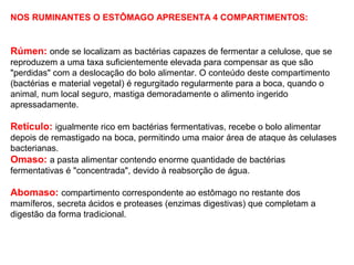 NOS RUMINANTES O ESTÔMAGO APRESENTA 4 COMPARTIMENTOS:
Rúmen: onde se localizam as bactérias capazes de fermentar a celulose, que se
reproduzem a uma taxa suficientemente elevada para compensar as que são
"perdidas" com a deslocação do bolo alimentar. O conteúdo deste compartimento
(bactérias e material vegetal) é regurgitado regularmente para a boca, quando o
animal, num local seguro, mastiga demoradamente o alimento ingerido
apressadamente.
Retículo: igualmente rico em bactérias fermentativas, recebe o bolo alimentar
depois de remastigado na boca, permitindo uma maior área de ataque às celulases
bacterianas.
Omaso: a pasta alimentar contendo enorme quantidade de bactérias
fermentativas é "concentrada", devido à reabsorção de água.
Abomaso: compartimento correspondente ao estômago no restante dos
mamíferos, secreta ácidos e proteases (enzimas digestivas) que completam a
digestão da forma tradicional.
 
