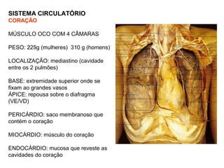 SISTEMA CIRCULATÓRIO
CORAÇÃO
MÚSCULO OCO COM 4 CÂMARAS
PESO: 225g (mulheres) 310 g (homens)
LOCALIZAÇÃO: mediastino (cavidade
entre os 2 pulmões)
BASE: extremidade superior onde se
fixam ao grandes vasos
ÁPICE: repousa sobre o diafragma
(VE/VD)
PERICÁRDIO: saco membranoso que
contém o coração
MIOCÁRDIO: músculo do coração
ENDOCÁRDIO: mucosa que reveste as
cavidades do coração
 