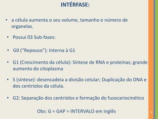 INTÉRFASE:
• a célula aumenta o seu volume, tamanho e número de
organelas.
• Possui 03 Sub-fases:
• G0 (“Repouso”): Interna à G1
• G1 (Crescimento da célula): Síntese de RNA e proteínas; grande
aumento do citoplasma

• S (síntese): desencadeia a divisão celular; Duplicação do DNA e
dos centríolos da célula.
• G2: Separação dos centríolos e formação do fusocariocinético
14

Obs: G = GAP = INTERVALO em inglês

 