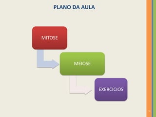 PLANO DA AULA

MITOSE

MEIOSE

EXERCÍCIOS

3

 