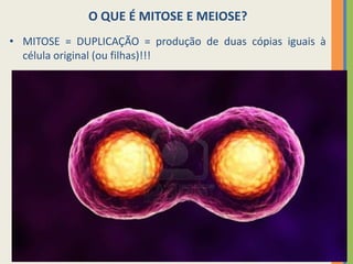 O QUE É MITOSE E MEIOSE?
• MITOSE = DUPLICAÇÃO = produção de duas cópias iguais à
célula original (ou filhas)!!!

4

 