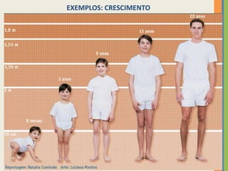 EXEMPLOS: CRESCIMENTO

7

 