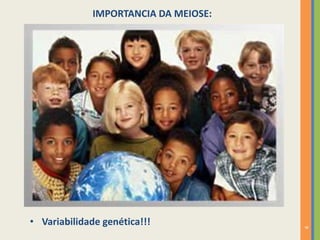 IMPORTANCIA DA MEIOSE:

9

• Variabilidade genética!!!

 