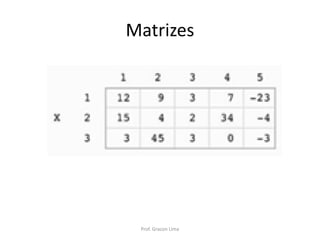 Matrizes
Prof. Gracon Lima
 