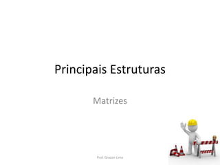 Principais Estruturas
Matrizes
Prof. Gracon Lima
 