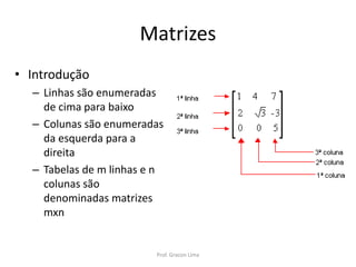 Matrizes
• Introdução
– Linhas são enumeradas
de cima para baixo
– Colunas são enumeradas
da esquerda para a
direita
– Tabelas de m linhas e n
colunas são
denominadas matrizes
mxn
Prof. Gracon Lima
 