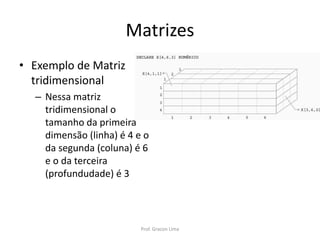 Matrizes
• Exemplo de Matriz
tridimensional
– Nessa matriz
tridimensional o
tamanho da primeira
dimensão (linha) é 4 e o
da segunda (coluna) é 6
e o da terceira
(profundudade) é 3
Prof. Gracon Lima
 