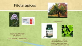 Valeriana officinalis
(Valeriana)
TRATAMENTO DA INSÔNIA
Ginkgo biloba
Utilizado para melhorar
falhas de memória, baixa
concentração, depressão e
ansiedade (demência senil)
 