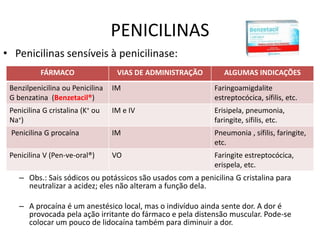 PENICILINAS
• Penicilinas sensíveis à penicilinase:
– Obs.: Sais sódicos ou potássicos são usados com a penicilina G cristalina para
neutralizar a acidez; eles não alteram a função dela.
– A procaína é um anestésico local, mas o indivíduo ainda sente dor. A dor é
provocada pela ação irritante do fármaco e pela distensão muscular. Pode-se
colocar um pouco de lidocaína também para diminuir a dor.
FÁRMACO VIAS DE ADMINISTRAÇÃO ALGUMAS INDICAÇÕES
Benzilpenicilina ou Penicilina
G benzatina (Benzetacil®)
IM Faringoamigdalite
estreptocócica, sífilis, etc.
Penicilina G cristalina (K+ ou
Na+)
IM e IV Erisipela, pneumonia,
faringite, sífilis, etc.
Penicilina G procaína IM Pneumonia , sífilis, faringite,
etc.
Penicilina V (Pen-ve-oral®) VO Faringite estreptocócica,
erispela, etc.
 
