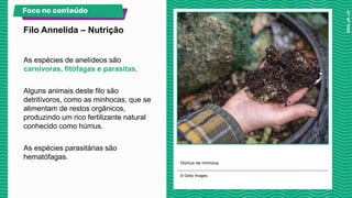 As espécies de anelídeos são
carnívoras, fitófagas e parasitas.
Alguns animais deste filo são
detritívoros, como as minhocas, que se
alimentam de restos orgânicos,
produzindo um rico fertilizante natural
conhecido como húmus.
As espécies parasitárias são
hematófagas.
Húmus de minhoca.
© Getty Images.
Filo Annelida – Nutrição
Foco no conteúdo
 