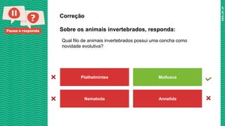 Pause e responda
Qual filo de animais invertebrados possui uma concha como
novidade evolutiva?
Correção
Sobre os animais invertebrados, responda:
Plathelmintes Mollusca
Nematoda Annelida
 