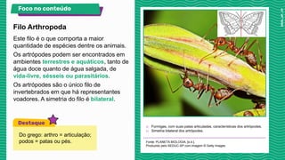 Este filo é o que comporta a maior
quantidade de espécies dentre os animais.
Os artrópodes podem ser encontrados em
ambientes terrestres e aquáticos, tanto de
água doce quanto de água salgada, de
vida-livre, sésseis ou parasitários.
Os artrópodes são o único filo de
invertebrados em que há representantes
voadores. A simetria do filo é bilateral.
a) Formigas, com suas patas articuladas, características dos artrópodes.
b) Simetria bilateral dos artrópodes.
Fonte: PLANETA BIOLOGIA, [s.d.].
Produzido pelo SEDUC-SP com imagem © Getty Images.
Filo Arthropoda
Foco no conteúdo
Do grego: arthro = articulação;
podos = patas ou pés.
 