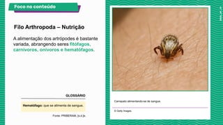 A alimentação dos artrópodes é bastante
variada, abrangendo seres fitófagos,
carnívoros, onívoros e hematófagos.
Carrapato alimentando-se de sangue.
© Getty Images.
Filo Arthropoda – Nutrição
Foco no conteúdo
GLOSSÁRIO
Hematófago: que se alimenta de sangue.
Fonte: PRIBERAM, [s.d.]e.
 