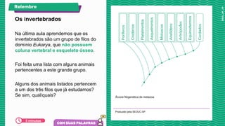 Na última aula aprendemos que os
invertebrados são um grupo de filos do
domínio Eukarya, que não possuem
coluna vertebral e esqueleto ósseo.
Foi feita uma lista com alguns animais
pertencentes a este grande grupo.
Alguns dos animais listados pertencem
a um dos três filos que já estudamos?
Se sim, qual/quais? Árvore filogenética de metazoa.
Produzido pela SEDUC-SP.
Os invertebrados
Relembre
5 minutos
 