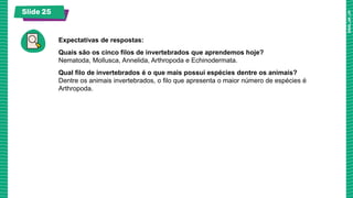 Slide 25
Expectativas de respostas:
Quais são os cinco filos de invertebrados que aprendemos hoje?
Nematoda, Mollusca, Annelida, Arthropoda e Echinodermata.
Qual filo de invertebrados é o que mais possui espécies dentre os animais?
Dentre os animais invertebrados, o filo que apresenta o maior número de espécies é
Arthropoda.
 