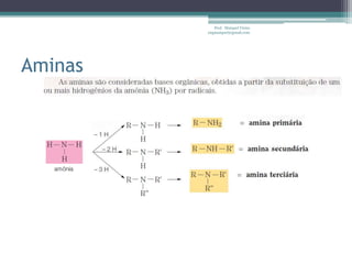 Prof. Maiquel Vieira
engmaiquel@gmail.com
Aminas