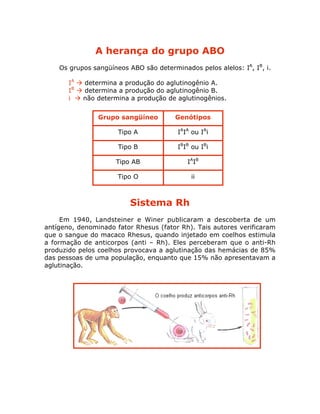 A herança do grupo ABO
Os grupos sangüíneos ABO são determinados pelos alelos: IA
, IB
, i.
• IA
‡ determina a produção do aglutinogênio A.
• IB
‡ determina a produção do aglutinogênio B.
• i ‡ não determina a produção de aglutinogênios.
Sistema Rh
Em 1940, Landsteiner e Winer publicaram a descoberta de um
antígeno, denominado fator Rhesus (fator Rh). Tais autores verificaram
que o sangue do macaco Rhesus, quando injetado em coelhos estimula
a formação de anticorpos (anti – Rh). Eles perceberam que o anti-Rh
produzido pelos coelhos provocava a aglutinação das hemácias de 85%
das pessoas de uma população, enquanto que 15% não apresentavam a
aglutinação.
Grupo sangüíneo Genótipos
Tipo A
Tipo B
Tipo AB
Tipo O
IA
IA
ou IA
i
IB
IB
ou IB
i
IA
IB
ii
 