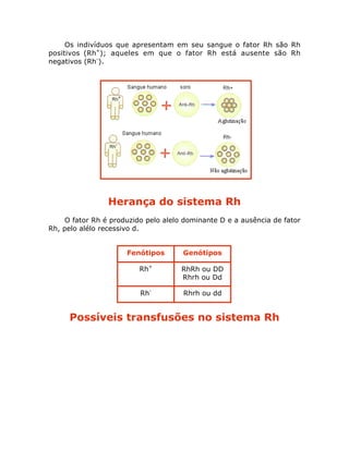 Os indivíduos que apresentam em seu sangue o fator Rh são Rh
positivos (Rh+
); aqueles em que o fator Rh está ausente são Rh
negativos (Rh-
).
Herança do sistema Rh
O fator Rh é produzido pelo alelo dominante D e a ausência de fator
Rh, pelo alélo recessivo d.
Possíveis transfusões no sistema Rh
Fenótipos Genótipos
Rh+
RhRh ou DD
Rhrh ou Dd
Rh-
Rhrh ou dd
 