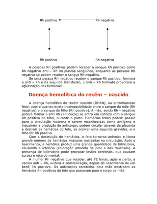 Rh positivo Rh negativo
Rh positivo Rh negativo
A pessoas Rh positivas podem receber o sangue Rh positivo como
Rh negativo anti – Rh no plasma sangüíneo, enquanto as pessoas Rh
negativo só podem receber o sangue Rh negativo.
Se uma pessoa Rh negativo receber o sangue Rh positivo, formará
o anti – Rh e na segunda transfusão, o anti – Rh formado provocará a
aglutinação das hemácias.
Doença hemolítica do recém – nascido
A doença hemolítica do recém nascido (DHRN), ou eritroblastose
fetal, ocorre quando existe incompatibilidade entre o sangue da mãe (Rh
negativo) e o sangue do filho (Rh positivo). A mãe, sendo Rh - negativo
poderá formar o anti Rh (anticorpo) se entra em contato com o sangue
Rh positivo do filho, durante o parto. Hemácias fetais podem passar
para a circulação materna e serem reconhecidas como antígeno e
induzirem a produção de anticorpo; podem circular através da placenta
e destruir as hemácias do feto, se ocorrer uma segunda gravidez, e o
filho for Rh positivo.
Com a destruição de hemácias, o feto torna-se anêmico e libera
grande número de hemácias imaturas nucleadas na circulação. Após o
nascimento, a hemólise produz uma grande quantidade de bilirrubina,
causando a icterícia (coloração amarela da pele e das mucosas). A
presença de bilirrubina pode provocar lesões cerebrais, que causam
surdez e retardo mental.
A mulher Rh negativo que receber, até 72 horas, após o parto, a
vacina anti – Rh, evitará a sensibilização, depois do nascimento de um
bebê Rh positivo. Os anticorpos recebidos pela mãe destroem as
hemácias Rh positivas do feto que passaram para o corpo da mãe.
 