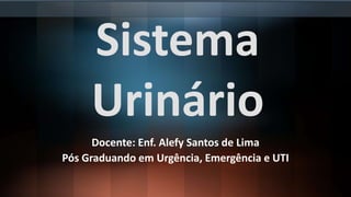 Sistema
Urinário
Docente: Enf. Alefy Santos de Lima
Pós Graduando em Urgência, Emergência e UTI
 