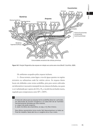 C E D E R J 73
AULA
14MÓDULO1
Os ambientes ocupados pelas arqueas incluem:
1 – Áreas termais, como lagos e rios de águas quentes ou regiões
terrestres ou submarinas onde há vulcões ativos. As arqueas destes
locais são definidas como termo-acidófilas, pois para serem cultivadas
em laboratório é necessário manipulá-las em câmaras fechadas, nas quais
o ar é substituído por vapores de CO2
e N2
, e incubá-las em banho-maria,
regulado para temperaturas entre 80° e 100°C.
O meio de cultura para as arqueas termo-acidófilas deve ter o pH ácido,
ser adicionado de enxofre inorgânico e os tubos têm de ser mantidos
hermeticamente fechados por dois motivos:
a. a água não pode evaporar;
b. esses micróbios são anaeróbios, ou seja, o O2
lhes é tóxico.
Esta última característica torna muito fácil descontaminar os tubos ao
final do trabalho. Basta abri-los e o oxigênio do ar faz o resto.
!
Figura 14.1: Posição filogenética das arqueas em relação aos outros seres vivos (Modif. Doolittle, 2000).
Outras bactérias
Bactérias
Cianobactérias
Proteobactérias
Crenarqueotas
Arqueas
Eucariontes
Euriarqueotas
Animais Fungos
Algas
Ciliados
Outros Eucariontes
unicelulares
(outros protistas)
Korarqueotas
Bactérias
hipertermofílicas
Comunidades ancestrais das células primitivas
Plantas
Bactérias que originaram as mitocôndrias
Bactérias que originaram os cloroplastos
 