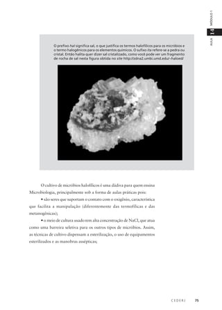 C E D E R J 75
AULA
14MÓDULO1
O prefixo hal significa sal, o que justifica os termos halofílicos para os micróbios e
o termo halogênicos para os elementos químicos. O sufixo ita refere-se a pedra ou
cristal. Então halita quer dizer sal cristalizado, como você pode ver um fragmento
de rocha de sal nesta figura obtida no site http://zdna2.umbi.umd.edu/~haloed/
O cultivo de micróbios halofílicos é uma dádiva para quem ensina
Microbiologia, principalmente sob a forma de aulas práticas pois:
• são seres que suportam o contato com o oxigênio, característica
que facilita a manipulação (diferentemente das termofílicas e das
metanogênicas);
• o meio de cultura usado tem alta concentração de NaCl, que atua
como uma barreira seletiva para os outros tipos de micróbios. Assim,
as técnicas de cultivo dispensam a esterilização, o uso de equipamentos
esterilizados e as manobras assépticas;
 