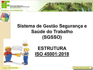 Sistema de Gestão Segurança e
Saúde do Trabalho
(SGSSO)
ESTRUTURA
ISO 45001:2018
Prof. Éder Clementino dos Santos
© Copyright –Proibida Reprodução.
 