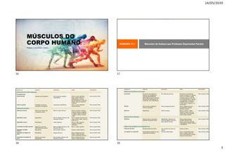 14/05/2020
1
MÚSCULOS DO
CORPO HUMANO
Prepare a memória e vamos....
EXIBIÇÃO 11.1 Músculos da Cabeça que Produzem Expressões Faciais
36 37
38 39