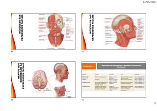 14/05/2020
2
MÚSCULOSDAS
EXPRESSÕESFACIAIS
MÚSCULOSDAS
EXPRESSÕESFACIAIS
NERVOSQUE
COORDENAMAS
EXPRESSÕESFACIAIS
EXIBIÇÃO 11.3
Músculos que Movimentam a Mandíbula e Auxiliam a
Mastigação
40 41
42 43