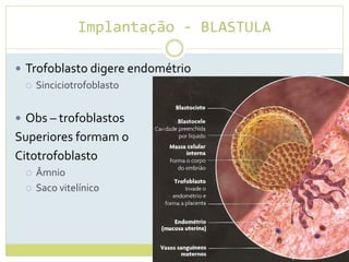 Implantação - BLASTULA
 Trofoblasto digere endométrio
 Sinciciotrofoblasto
 Obs – trofoblastos
Superiores formam o
Citotrofoblasto
 Âmnio
 Saco vitelínico
 
