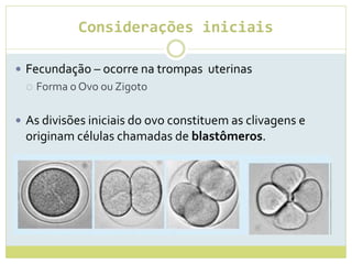 Considerações iniciais
 Fecundação – ocorre na trompas uterinas
 Forma o Ovo ou Zigoto
 As divisões iniciais do ovo constituem as clivagens e
originam células chamadas de blastômeros.
 