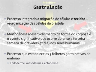 Gastrulação
 Processo integrado a migração de células e tecidos –
reorganização das células da blástula
 Morfogênese (desenvolvimento da forma do corpo) e é
o evento significativo que ocorre durante a terceira
semana de gravidez (9º dia) nos seres humanos
 Processo que estabelece os 3 folhetos germinativos do
embrião
 Endoderme, mesoderme e ectoderme
 