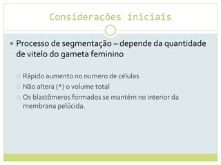 Considerações iniciais
 Processo de segmentação – depende da quantidade
de vitelo do gameta feminino
 Rápido aumento no numero de células
 Não altera (*) o volume total
 Os blastômeros formados se mantém no interior da
membrana pelúcida.
 