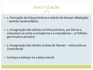 Gastrulação
 1. Formação da linha primitiva e nódulo de Hensen (dilatação)
– sentido caudocefálico.
 2. Invaginação das células na linha primitiva, por forma a
colocarem-se entre a ectoderme e a mesoderme – 3º folheto
germinativo primário
 3. Invaginação das células na área de Hensen - notocorda ou
corda dorsal
 Começa a esboçar-se a placa neural
 
