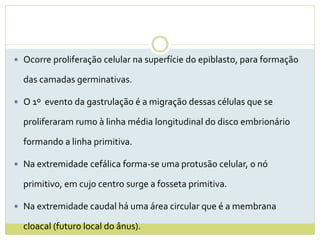  Ocorre proliferação celular na superfície do epiblasto, para formação
das camadas germinativas.
 O 1º evento da gastrulação é a migração dessas células que se
proliferaram rumo à linha média longitudinal do disco embrionário
formando a linha primitiva.
 Na extremidade cefálica forma-se uma protusão celular, o nó
primitivo, em cujo centro surge a fosseta primitiva.
 Na extremidade caudal há uma área circular que é a membrana
cloacal (futuro local do ânus).
 