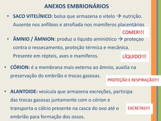 ANEXOS EMBRIONÁRIOS
• SACO VITELÍNICO: bolsa que armazena o vitelo  nutrição.
Ausente nos anfíbios e atrofiada nos mamíferos placentários
COMER!!!
• ÂMNIO / ÂMNION: produz o líquido aminiótico  proteção
contra o ressecamento, proteção térmica e mecânica.
Presente em répteis, aves e mamíferos.

LÍQUIDO!!!

• CÓRION: é a membrana mais externa ao âmnio, auxilia na
preservação do embrião e trocas gasosas.

PROTEÇÃO E RESPIRAÇÃO!!!

• ALANTOIDE: vesícula que armazena excreções, participa
das trocas gasosas juntamente com o córion e
transporta o cálcio presente na casca do ovo até o
embrião para formação dos ossos.

EXCRETAS!!!

 