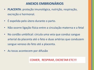 ANEXOS EMBRIONÁRIOS
• PLACENTA: proteção imunológica, nutrição, respiração,
excreção e hormonal.
• É expelida pelo útero durante o parto.

• Não ocorre ligação física entre a circulação materna e a fetal
• No cordão umbilical: circula uma veia que conduz sangue

arterial da placenta até o feto e duas artérias que conduzem
sangue venoso do feto até a placenta.
• As tocas acontecem por difusão
COMER, RESPIRAR, EXCRETAR ETC!!!

 