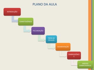 PLANO DA AULA
INTRODUÇÃO

GAMETOGÊNESE

FECUNDAÇÃO

TIPOS DE
ÓVULOS

SEGMENTAÇÃO

EMBRIOGÊNES
E

ANEXOS
EMBRIONÁRIOS

 