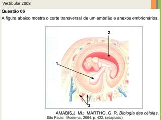 Vestibular 2008

 