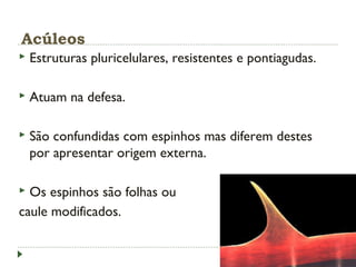 Acúleos
 Estruturas pluricelulares, resistentes e pontiagudas.
 Atuam na defesa.
 São confundidas com espinhos mas diferem destes
por apresentar origem externa.
 Os espinhos são folhas ou
caule modificados.
 