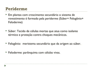 Periderme
 Em plantas com crescimento secundário o sistema de
revestimento é formado pela periderme (Súber+ Felogênio+
Feloderme)
 Súber: Tecido de células mortas que atua como isolante
térmico e proteção contra choques mecânicos.
 Felogênio: meristema secundário que da origem ao súber.
 Feloderme: parênquima com células vivas.
 
